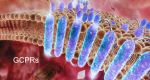 GPCRS