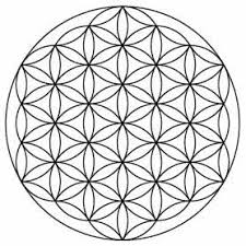 Flower of life 