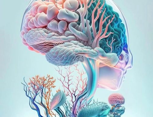Changes in the Brain – Electromagnetic Shift
