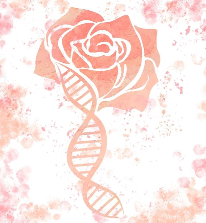 DNA Rose by @designs_by_nkj